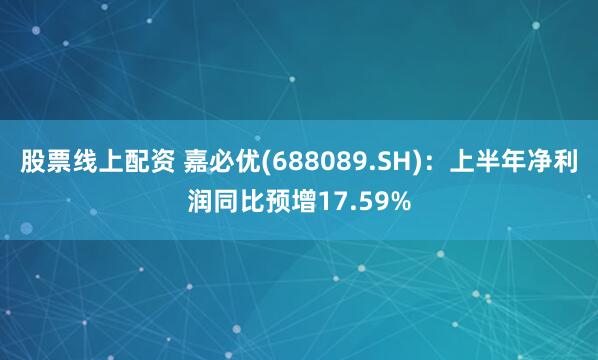 股票线上配资 嘉必优(688089.SH)：上半年净利润同比预增17.59%