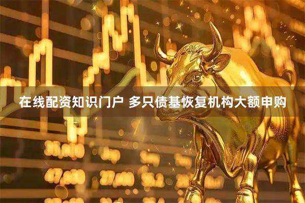 在线配资知识门户 多只债基恢复机构大额申购